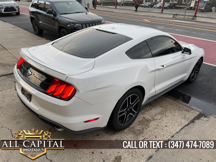 2019 Ford Mustang EcoBoost Fastback, available for sale in Brooklyn, New York | All Capital Motors. Brooklyn, New York 2019 Ford Mustang EcoBoost Fastback, available for sale in Brooklyn, New York | All Capital Motors. Brooklyn, New York