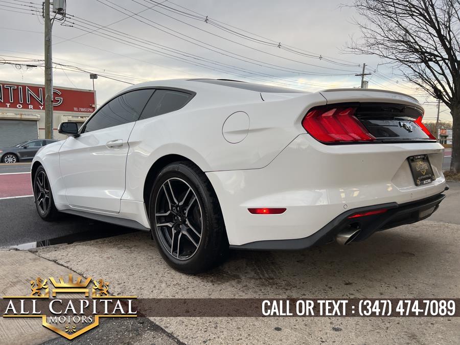 2019 Ford Mustang EcoBoost Fastback, available for sale in Brooklyn, New York | All Capital Motors. Brooklyn, New York 2019 Ford Mustang EcoBoost Fastback, available for sale in Brooklyn, New York | All Capital Motors. Brooklyn, New York