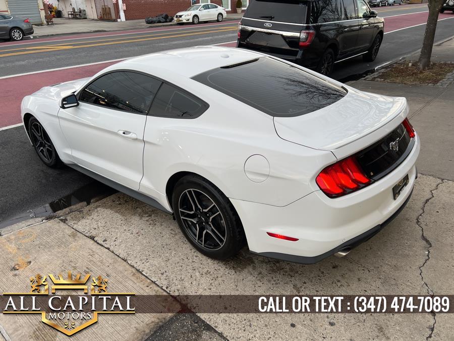 2019 Ford Mustang EcoBoost Fastback, available for sale in Brooklyn, New York | All Capital Motors. Brooklyn, New York 2019 Ford Mustang EcoBoost Fastback, available for sale in Brooklyn, New York | All Capital Motors. Brooklyn, New York