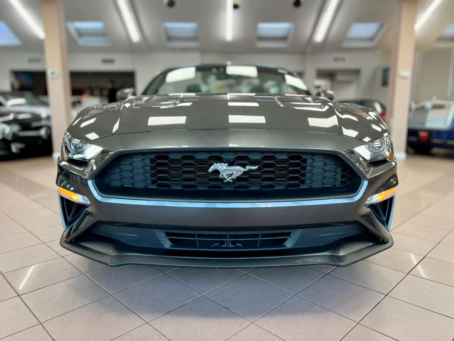 2020 Ford Mustang EcoBoost Premium Convertible, available for sale in Massapequa Park, New York | Power Motors East. Massapequa Park, New York 2020 Ford Mustang EcoBoost Premium Convertible, available for sale in Massapequa Park, New York | Power Motors East. Massapequa Park, New York