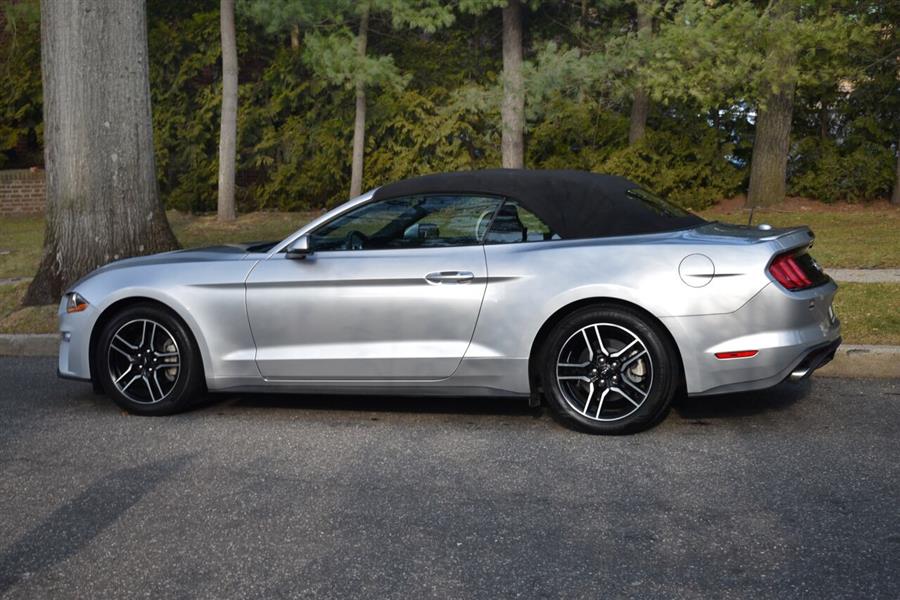 2019 Ford Mustang EcoBoost Premium 2dr Convertible, available for sale in Great Neck, New York | Camy Cars. Great Neck, New York 2019 Ford Mustang EcoBoost Premium 2dr Convertible, available for sale in Great Neck, New York | Camy Cars. Great Neck, New York