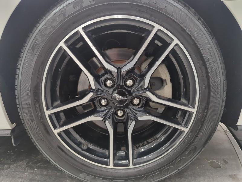 2020 Ford Mustang EcoBoost Premium, available for sale in Maple Shade, New Jersey | Car Revolution. Maple Shade, New Jersey 2020 Ford Mustang EcoBoost Premium, available for sale in Maple Shade, New Jersey | Car Revolution. Maple Shade, New Jersey