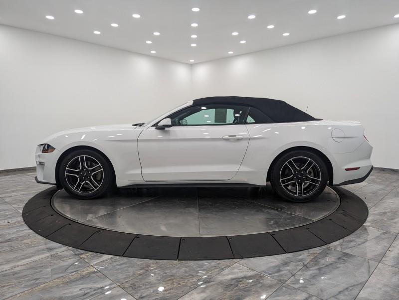 2020 Ford Mustang EcoBoost Premium, available for sale in Maple Shade, New Jersey | Car Revolution. Maple Shade, New Jersey 2020 Ford Mustang EcoBoost Premium, available for sale in Maple Shade, New Jersey | Car Revolution. Maple Shade, New Jersey