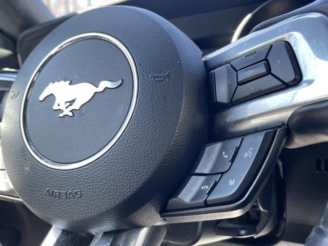 2018 Ford Mustang EcoBoost Premium, available for sale in Brookfield, Connecticut | Blasius Federal Road. Brookfield, Connecticut 2018 Ford Mustang EcoBoost Premium, available for sale in Brookfield, Connecticut | Blasius Federal Road. Brookfield, Connecticut