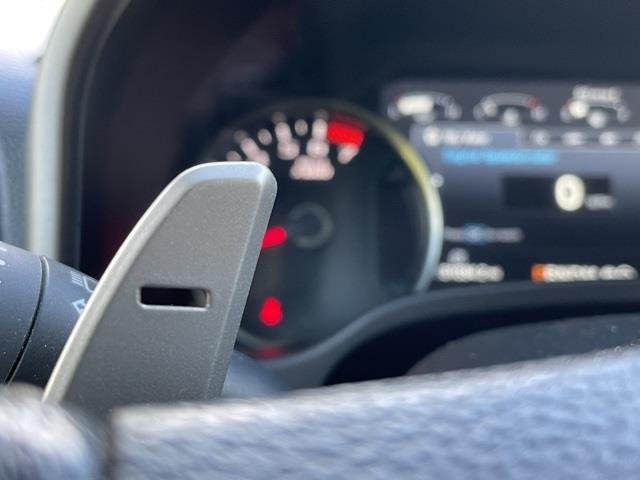 2020 Ford F-150 Raptor, available for sale in Brookfield, Connecticut | Blasius Federal Road. Brookfield, Connecticut 2020 Ford F-150 Raptor, available for sale in Brookfield, Connecticut | Blasius Federal Road. Brookfield, Connecticut
