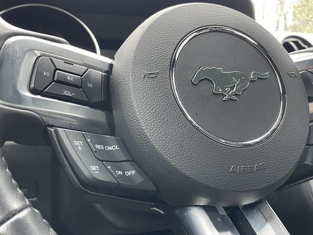 2021 Ford Mustang GT, available for sale in Brookfield, Connecticut | Blasius Federal Road. Brookfield, Connecticut 2021 Ford Mustang GT, available for sale in Brookfield, Connecticut | Blasius Federal Road. Brookfield, Connecticut
