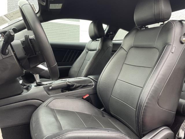 2021 Ford Mustang GT, available for sale in Brookfield, Connecticut | Blasius Federal Road. Brookfield, Connecticut 2021 Ford Mustang GT, available for sale in Brookfield, Connecticut | Blasius Federal Road. Brookfield, Connecticut