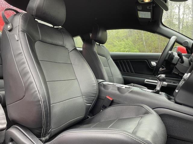 2021 Ford Mustang GT, available for sale in Brookfield, Connecticut | Blasius Federal Road. Brookfield, Connecticut 2021 Ford Mustang GT, available for sale in Brookfield, Connecticut | Blasius Federal Road. Brookfield, Connecticut