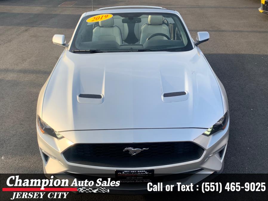 2019 Ford Mustang EcoBoost Premium Convertible, available for sale in Jersey City, New Jersey | Champion Auto Sales. Jersey City, New Jersey 2019 Ford Mustang EcoBoost Premium Convertible, available for sale in Jersey City, New Jersey | Champion Auto Sales. Jersey City, New Jersey