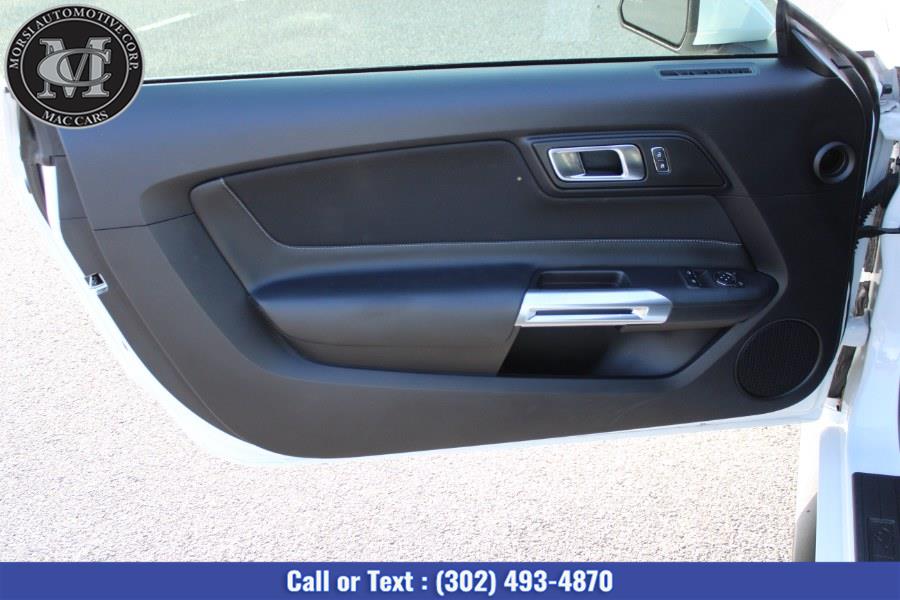 2019 Ford Mustang GT Fastback, available for sale in New Castle, Delaware | Morsi Automotive Corp. New Castle, Delaware 2019 Ford Mustang GT Fastback, available for sale in New Castle, Delaware | Morsi Automotive Corp. New Castle, Delaware