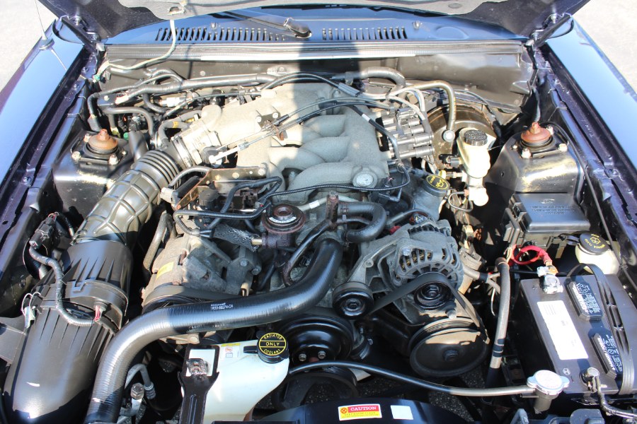 2003 Ford Mustang 2dr Conv Deluxe, available for sale in Deer Park, New York | Car Tec Enterprise Leasing & Sales LLC. Deer Park, New York 2003 Ford Mustang 2dr Conv Deluxe, available for sale in Deer Park, New York | Car Tec Enterprise Leasing & Sales LLC. Deer Park, New York