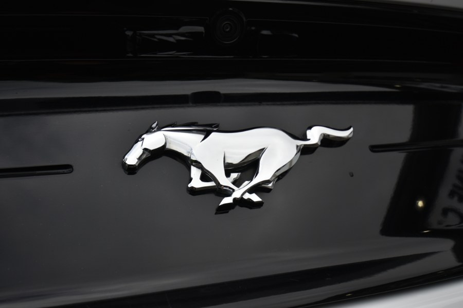 2021 Ford Mustang EcoBoost Premium Convertible, available for sale in Waterbury, Connecticut | Highline Car Connection. Waterbury, Connecticut 2021 Ford Mustang EcoBoost Premium Convertible, available for sale in Waterbury, Connecticut | Highline Car Connection. Waterbury, Connecticut