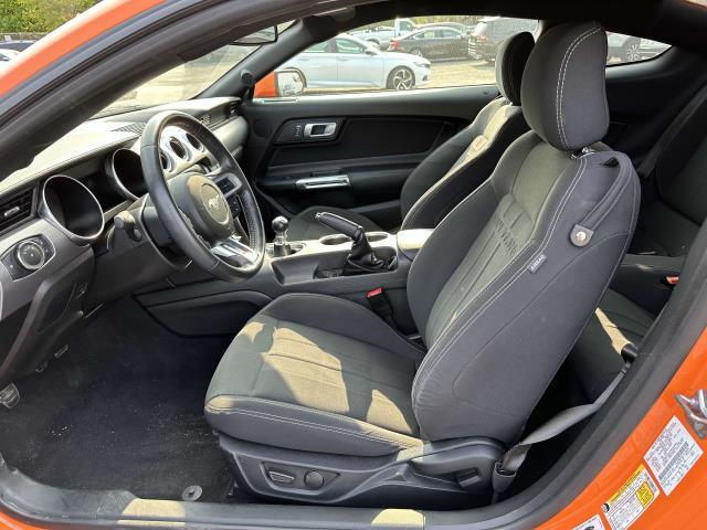 2020 Ford Mustang GT, available for sale in Patchogue, New York | Baron Supercenter. Patchogue, New York 2020 Ford Mustang GT, available for sale in Patchogue, New York | Baron Supercenter. Patchogue, New York