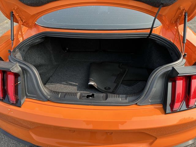 2020 Ford Mustang GT, available for sale in Patchogue, New York | Baron Supercenter. Patchogue, New York 2020 Ford Mustang GT, available for sale in Patchogue, New York | Baron Supercenter. Patchogue, New York