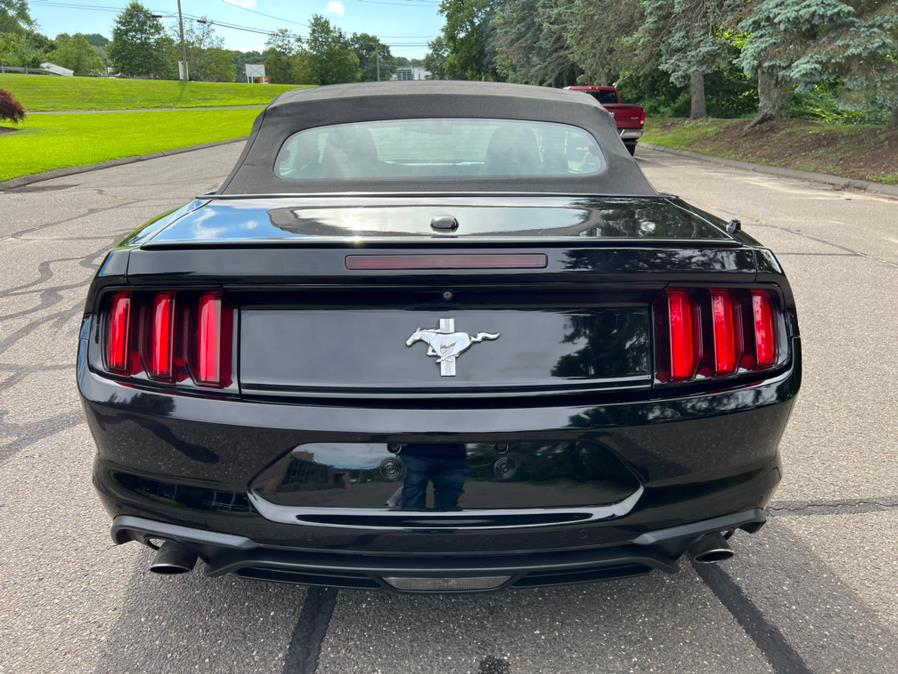 2017 Ford Mustang V6 Convertible, available for sale in Waterbury, Connecticut | Platinum Auto Care. Waterbury, Connecticut 2017 Ford Mustang V6 Convertible, available for sale in Waterbury, Connecticut | Platinum Auto Care. Waterbury, Connecticut