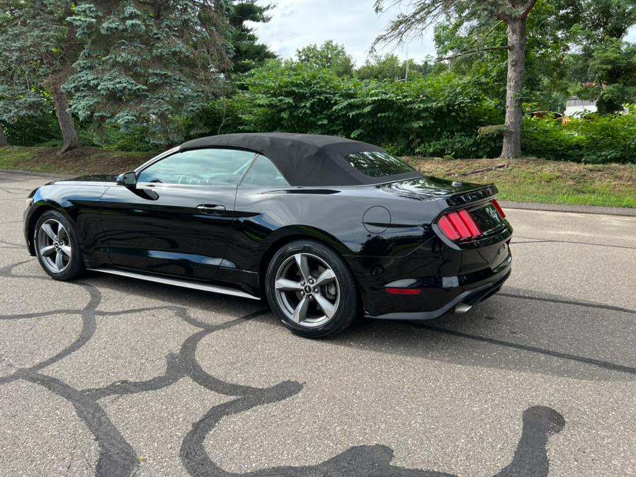 2017 Ford Mustang V6 Convertible, available for sale in Waterbury, Connecticut | Platinum Auto Care. Waterbury, Connecticut 2017 Ford Mustang V6 Convertible, available for sale in Waterbury, Connecticut | Platinum Auto Care. Waterbury, Connecticut