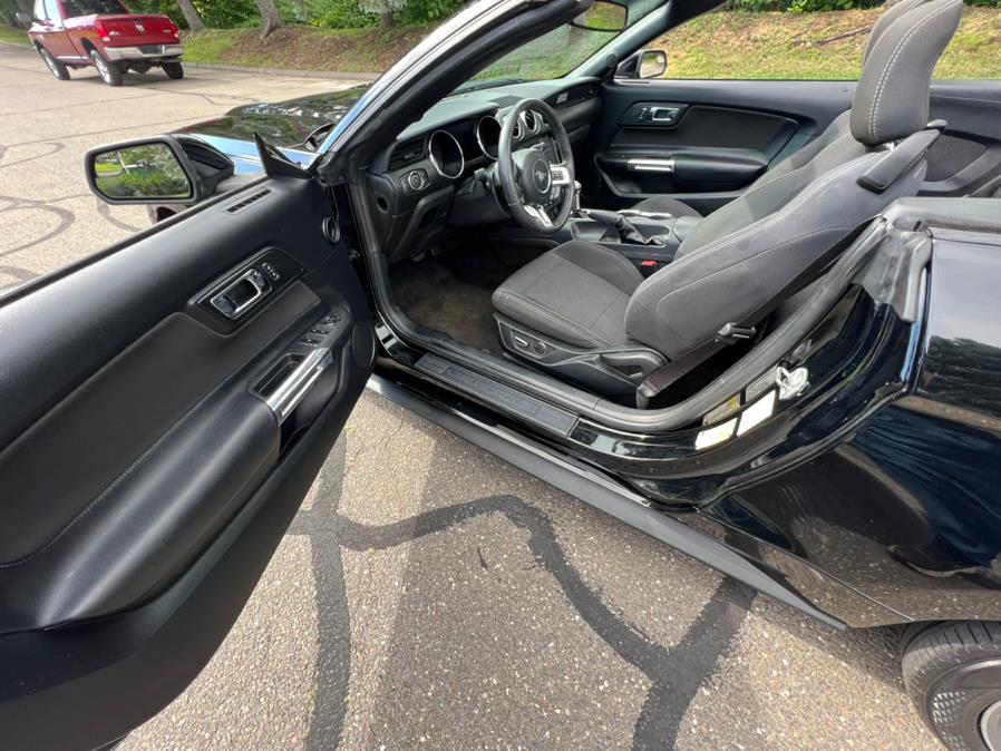 2017 Ford Mustang V6 Convertible, available for sale in Waterbury, Connecticut | Platinum Auto Care. Waterbury, Connecticut 2017 Ford Mustang V6 Convertible, available for sale in Waterbury, Connecticut | Platinum Auto Care. Waterbury, Connecticut