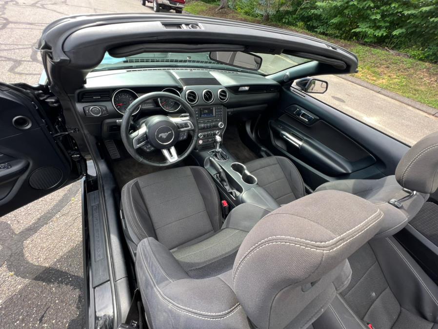 2017 Ford Mustang V6 Convertible, available for sale in Waterbury, Connecticut | Platinum Auto Care. Waterbury, Connecticut 2017 Ford Mustang V6 Convertible, available for sale in Waterbury, Connecticut | Platinum Auto Care. Waterbury, Connecticut