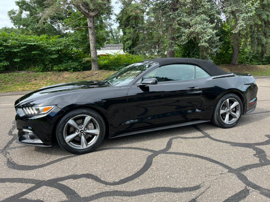 2017 Ford Mustang V6 Convertible, available for sale in Waterbury, Connecticut | Platinum Auto Care. Waterbury, Connecticut 2017 Ford Mustang V6 Convertible, available for sale in Waterbury, Connecticut | Platinum Auto Care. Waterbury, Connecticut