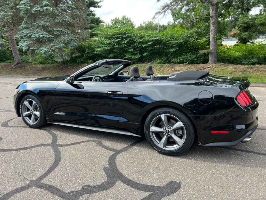 2017 Ford Mustang V6 Convertible, available for sale in Waterbury, Connecticut | Platinum Auto Care. Waterbury, Connecticut 2017 Ford Mustang V6 Convertible, available for sale in Waterbury, Connecticut | Platinum Auto Care. Waterbury, Connecticut