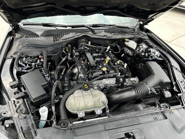 2021 Ford Mustang I4CV, available for sale in Great Neck, New York | Camy Cars. Great Neck, New York 2021 Ford Mustang I4CV, available for sale in Great Neck, New York | Camy Cars. Great Neck, New York