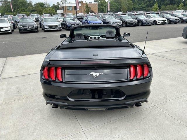 2021 Ford Mustang I4CV, available for sale in Great Neck, New York | Camy Cars. Great Neck, New York 2021 Ford Mustang I4CV, available for sale in Great Neck, New York | Camy Cars. Great Neck, New York