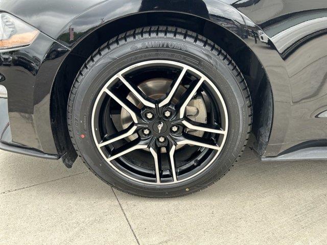 2021 Ford Mustang I4CV, available for sale in Great Neck, New York | Camy Cars. Great Neck, New York 2021 Ford Mustang I4CV, available for sale in Great Neck, New York | Camy Cars. Great Neck, New York