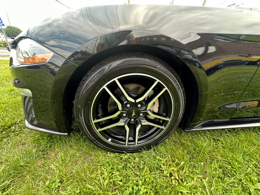 2019 Ford Mustang EcoBoost Fastback, available for sale in Danbury, Connecticut | Safe Used Auto Sales LLC. Danbury, Connecticut 2019 Ford Mustang EcoBoost Fastback, available for sale in Danbury, Connecticut | Safe Used Auto Sales LLC. Danbury, Connecticut