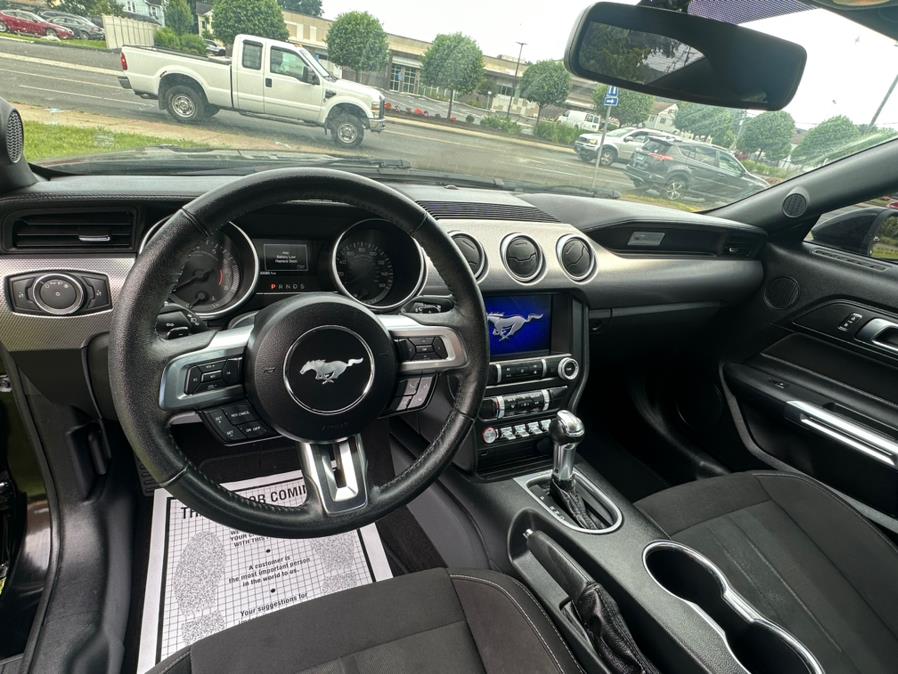 2019 Ford Mustang EcoBoost Fastback, available for sale in Danbury, Connecticut | Safe Used Auto Sales LLC. Danbury, Connecticut 2019 Ford Mustang EcoBoost Fastback, available for sale in Danbury, Connecticut | Safe Used Auto Sales LLC. Danbury, Connecticut
