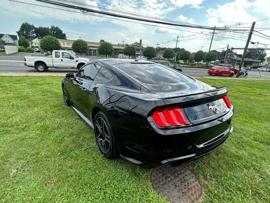 2019 Ford Mustang EcoBoost Fastback, available for sale in Danbury, Connecticut | Safe Used Auto Sales LLC. Danbury, Connecticut 2019 Ford Mustang EcoBoost Fastback, available for sale in Danbury, Connecticut | Safe Used Auto Sales LLC. Danbury, Connecticut