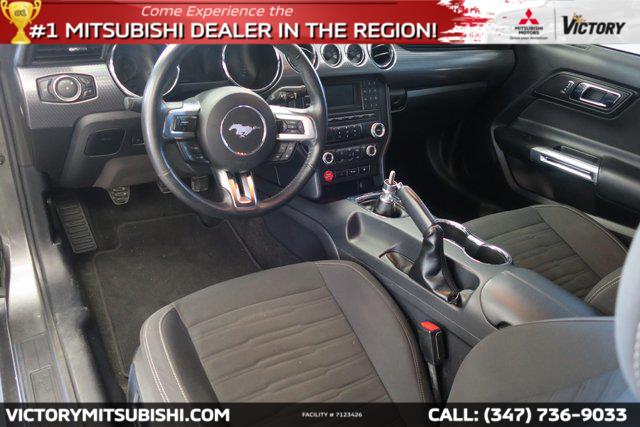 2017 Ford Mustang GT Premium, available for sale in Freehold, New Jersey | Shop Auto. Freehold, New Jersey 2017 Ford Mustang GT Premium, available for sale in Freehold, New Jersey | Shop Auto. Freehold, New Jersey