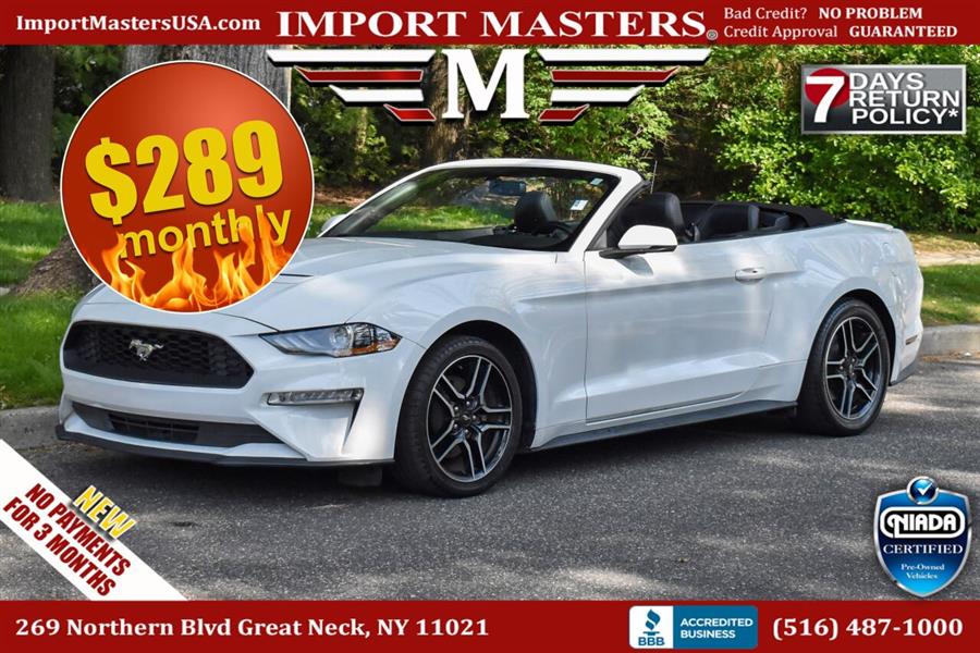 Used 2019 Ford Mustang in Great Neck, New York | Camy Cars. Great Neck, New York