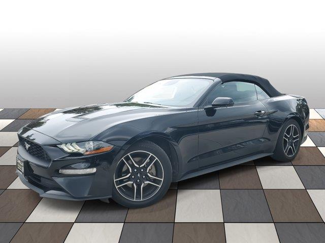 Used 2022 Ford Mustang in Fort Lauderdale, Florida | CarLux Fort Lauderdale. Fort Lauderdale, Florida