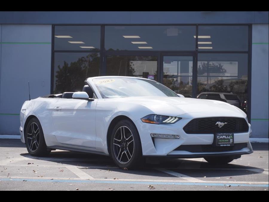 Used 2022 Ford Mustang in Fort Myers, Florida | Carlux Fort Myers. Fort Myers, Florida