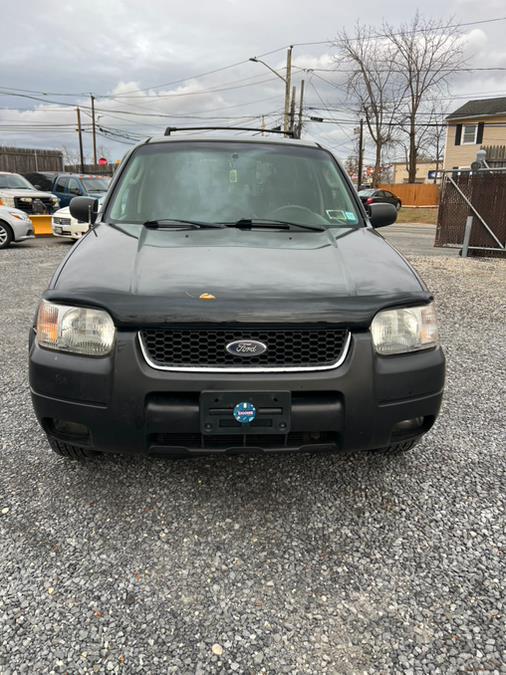 2003 Ford Escape Limited photo 7