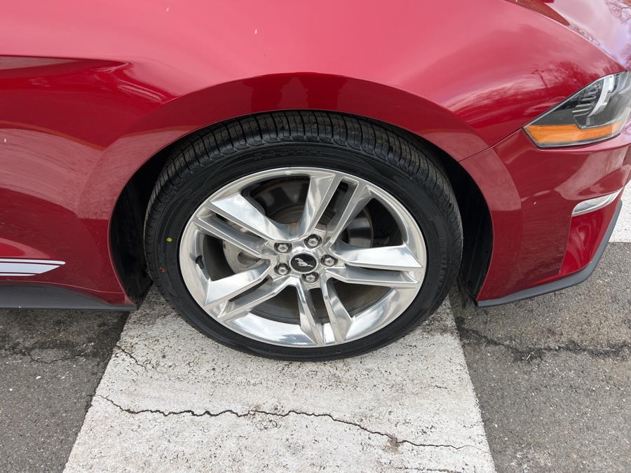2019 Ford Mustang EcoBoost Premium Convertible, available for sale in Waterbury, Connecticut | National Auto Brokers, Inc.. Waterbury, Connecticut 2019 Ford Mustang EcoBoost Premium Convertible, available for sale in Waterbury, Connecticut | National Auto Brokers, Inc.. Waterbury, Connecticut