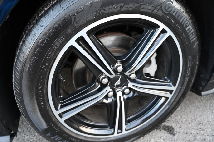 2024 Ford Mustang EcoBoost Fastback, available for sale in Waterbury, Connecticut | Highline Car Connection. Waterbury, Connecticut 2024 Ford Mustang EcoBoost Fastback, available for sale in Waterbury, Connecticut | Highline Car Connection. Waterbury, Connecticut