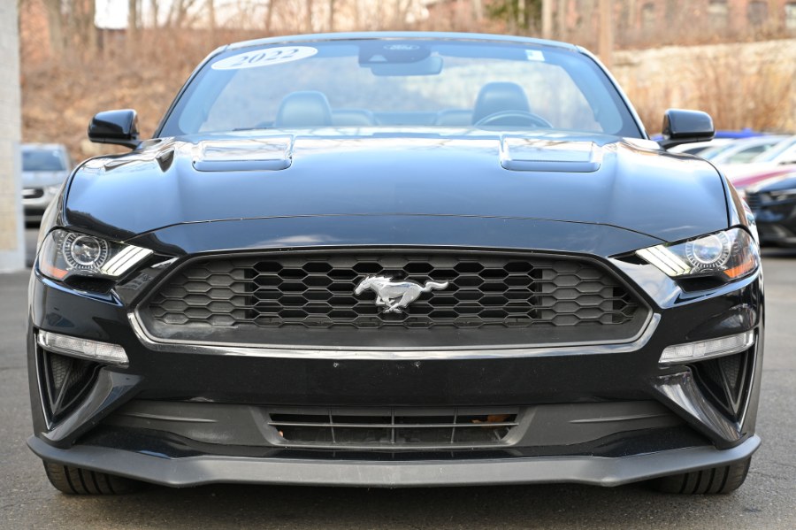2022 Ford Mustang EcoBoost Premium Convertible, available for sale in Waterbury, Connecticut | Highline Car Connection. Waterbury, Connecticut 2022 Ford Mustang EcoBoost Premium Convertible, available for sale in Waterbury, Connecticut | Highline Car Connection. Waterbury, Connecticut