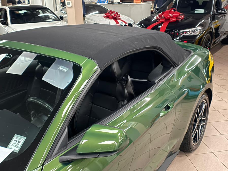 2023 Ford Mustang EcoBoost Premium Convertible, available for sale in Massapequa Park, New York | Power Motors East. Massapequa Park, New York 2023 Ford Mustang EcoBoost Premium Convertible, available for sale in Massapequa Park, New York | Power Motors East. Massapequa Park, New York