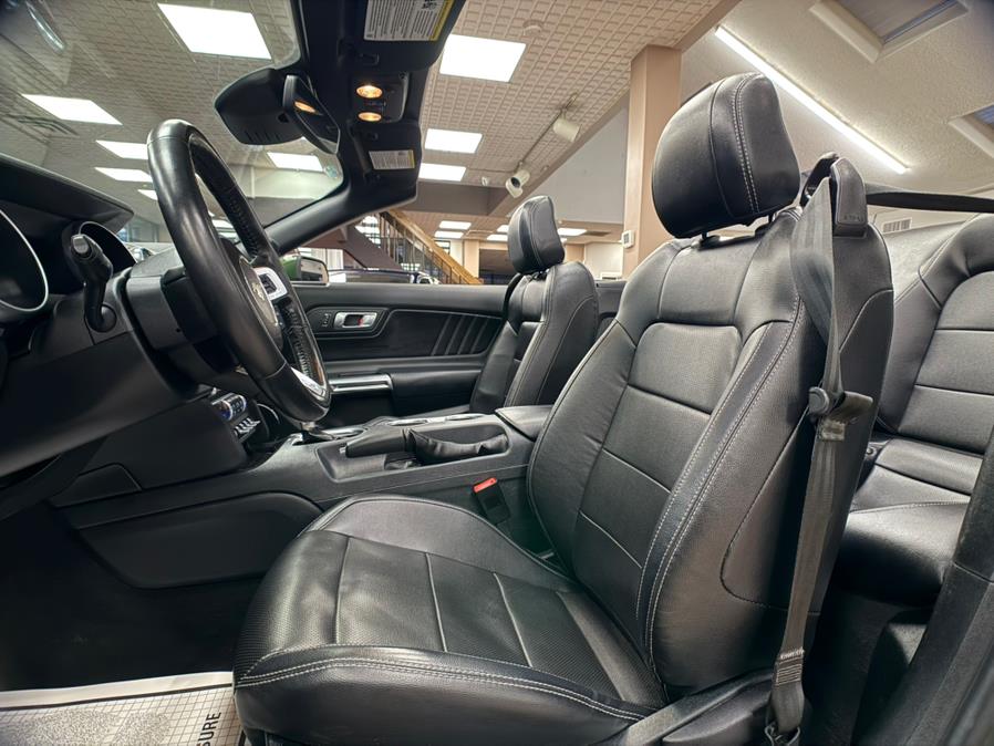2023 Ford Mustang EcoBoost Premium Convertible, available for sale in Massapequa Park, New York | Power Motors East. Massapequa Park, New York 2023 Ford Mustang EcoBoost Premium Convertible, available for sale in Massapequa Park, New York | Power Motors East. Massapequa Park, New York