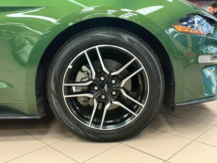 2023 Ford Mustang EcoBoost Premium Convertible, available for sale in Massapequa Park, New York | Power Motors East. Massapequa Park, New York 2023 Ford Mustang EcoBoost Premium Convertible, available for sale in Massapequa Park, New York | Power Motors East. Massapequa Park, New York