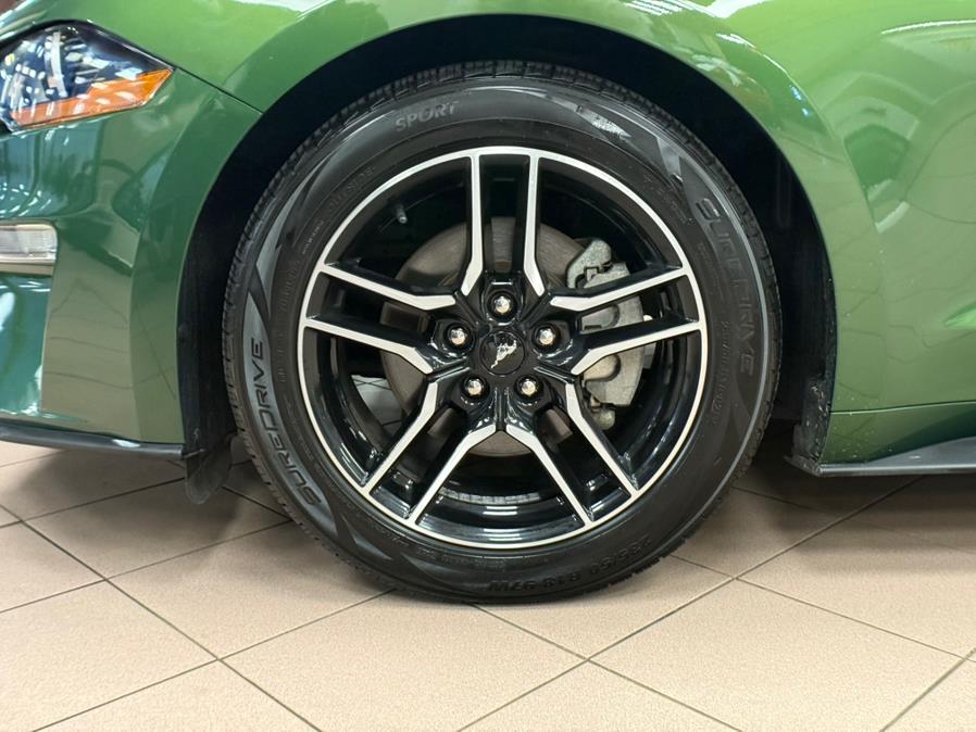 2023 Ford Mustang EcoBoost Premium Convertible, available for sale in Massapequa Park, New York | Power Motors East. Massapequa Park, New York 2023 Ford Mustang EcoBoost Premium Convertible, available for sale in Massapequa Park, New York | Power Motors East. Massapequa Park, New York