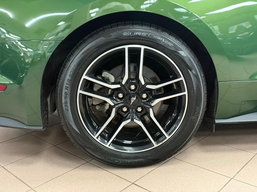 2023 Ford Mustang EcoBoost Premium Convertible, available for sale in Massapequa Park, New York | Power Motors East. Massapequa Park, New York 2023 Ford Mustang EcoBoost Premium Convertible, available for sale in Massapequa Park, New York | Power Motors East. Massapequa Park, New York