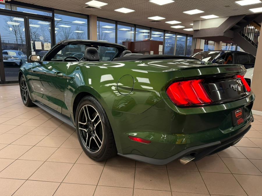 2023 Ford Mustang EcoBoost Premium Convertible, available for sale in Massapequa Park, New York | Power Motors East. Massapequa Park, New York 2023 Ford Mustang EcoBoost Premium Convertible, available for sale in Massapequa Park, New York | Power Motors East. Massapequa Park, New York