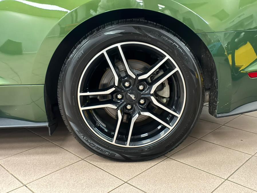 2023 Ford Mustang EcoBoost Premium Convertible, available for sale in Massapequa Park, New York | Power Motors East. Massapequa Park, New York 2023 Ford Mustang EcoBoost Premium Convertible, available for sale in Massapequa Park, New York | Power Motors East. Massapequa Park, New York