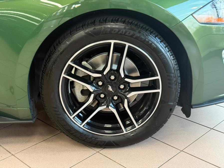 2023 Ford Mustang EcoBoost Premium Convertible, available for sale in Massapequa Park, New York | Power Motors East. Massapequa Park, New York 2023 Ford Mustang EcoBoost Premium Convertible, available for sale in Massapequa Park, New York | Power Motors East. Massapequa Park, New York