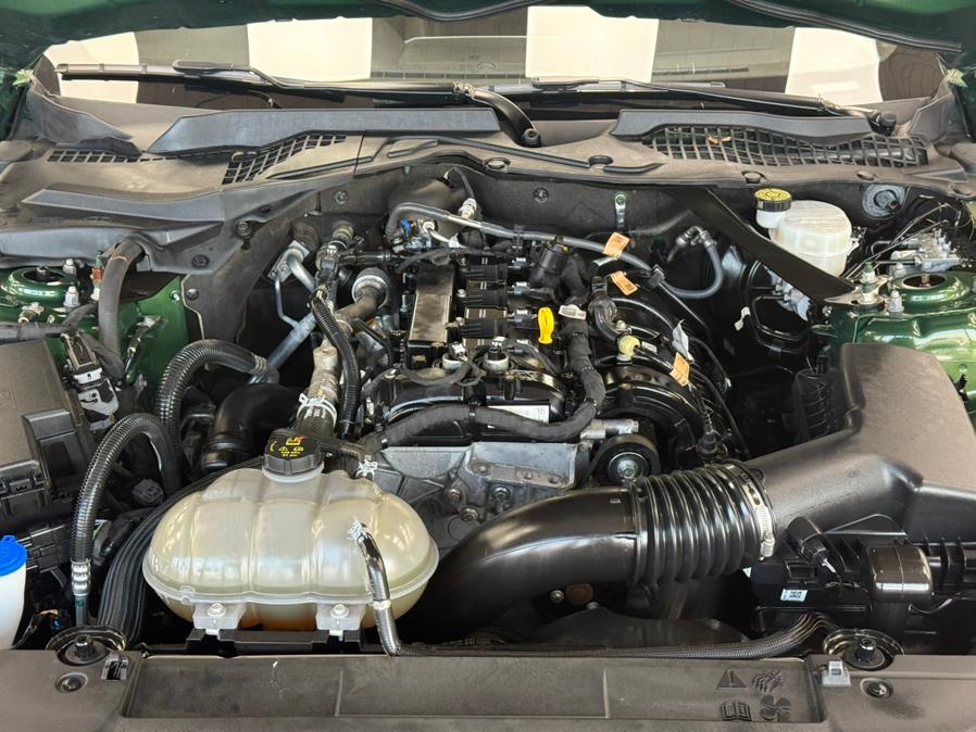 2023 Ford Mustang EcoBoost Premium Convertible, available for sale in Massapequa Park, New York | Power Motors East. Massapequa Park, New York 2023 Ford Mustang EcoBoost Premium Convertible, available for sale in Massapequa Park, New York | Power Motors East. Massapequa Park, New York