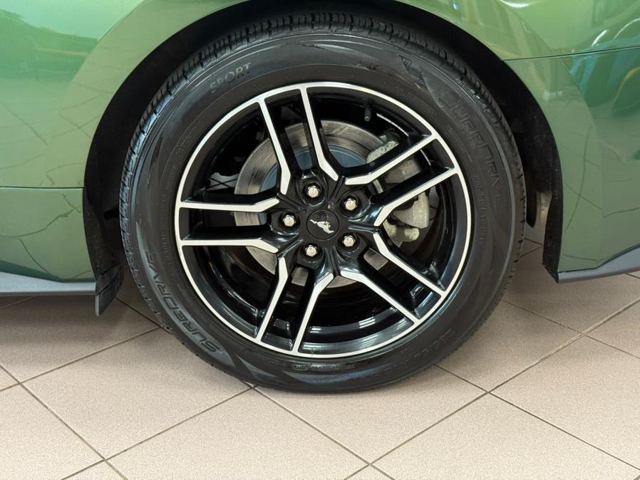2023 Ford Mustang EcoBoost Premium Convertible, available for sale in Massapequa Park, New York | Power Motors East. Massapequa Park, New York 2023 Ford Mustang EcoBoost Premium Convertible, available for sale in Massapequa Park, New York | Power Motors East. Massapequa Park, New York