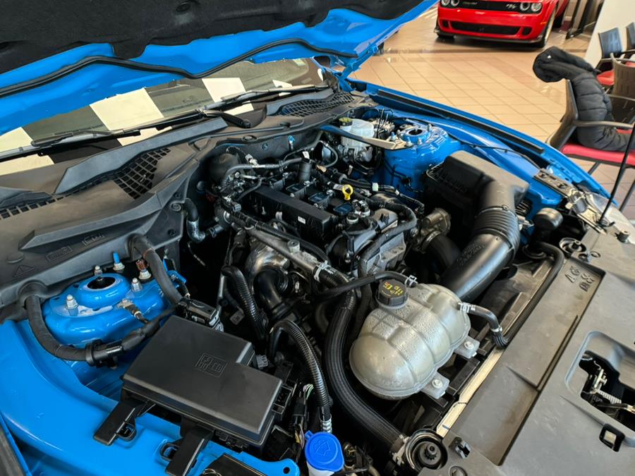 2023 Ford Mustang EcoBoost Premium Convertible, available for sale in Massapequa Park, New York | Power Motors East. Massapequa Park, New York 2023 Ford Mustang EcoBoost Premium Convertible, available for sale in Massapequa Park, New York | Power Motors East. Massapequa Park, New York