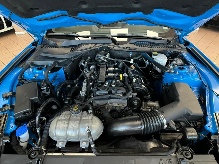 2023 Ford Mustang EcoBoost Premium Convertible, available for sale in Massapequa Park, New York | Power Motors East. Massapequa Park, New York 2023 Ford Mustang EcoBoost Premium Convertible, available for sale in Massapequa Park, New York | Power Motors East. Massapequa Park, New York